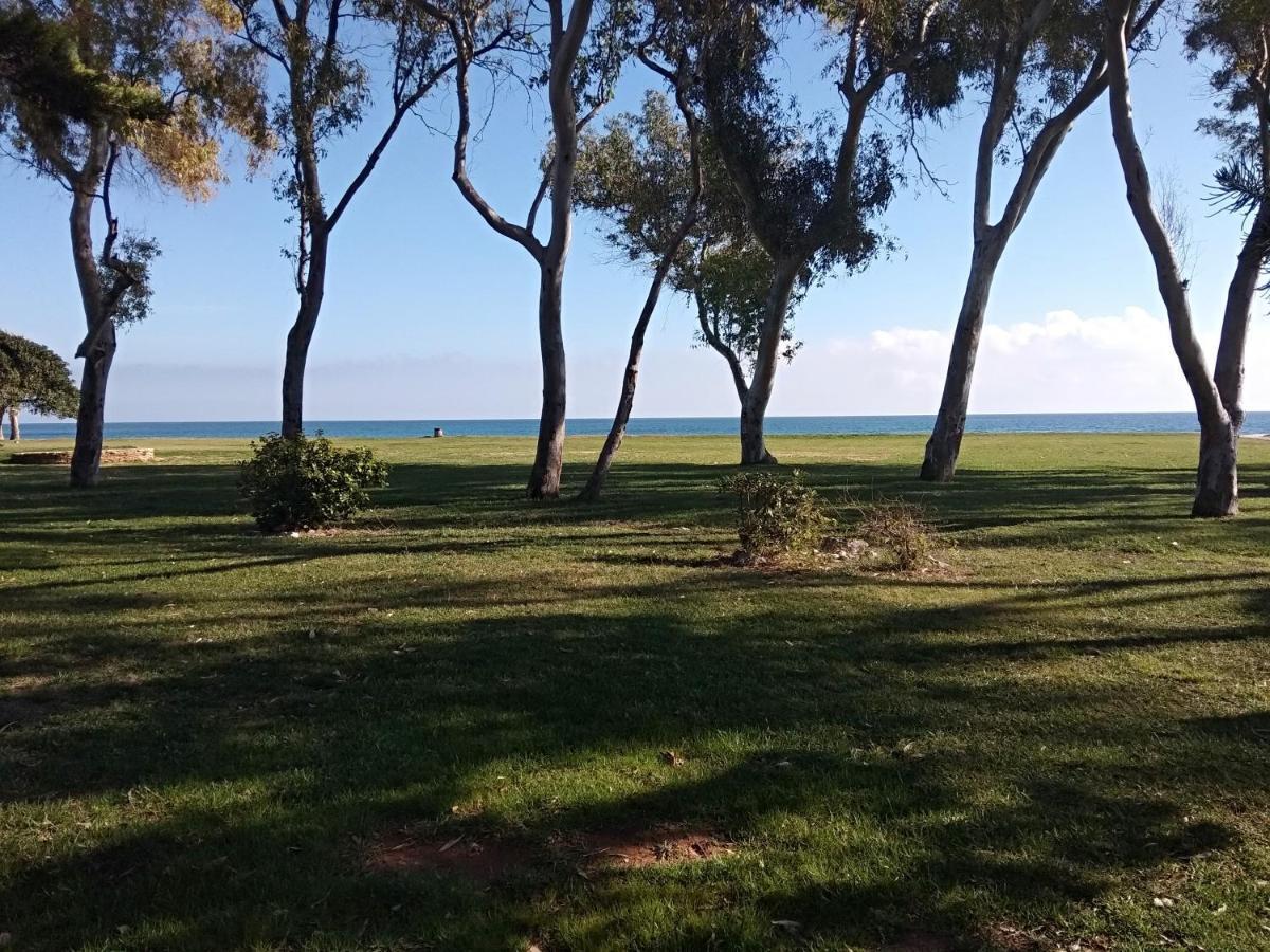 Apartament Acv - Costa Marina II - 1ª Linea Planta 6 Sur Oropesa del Mar Zewnętrze zdjęcie